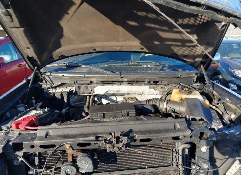 Photo 10 of 2013 Ford F-150 PLATINUM (VIN 1FTFW1EF8DFB35631)