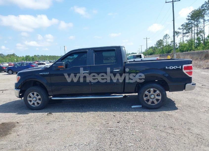Photo 14 of 2013 Ford F-150 XLT (VIN 1FTFW1EF8DKE74462)