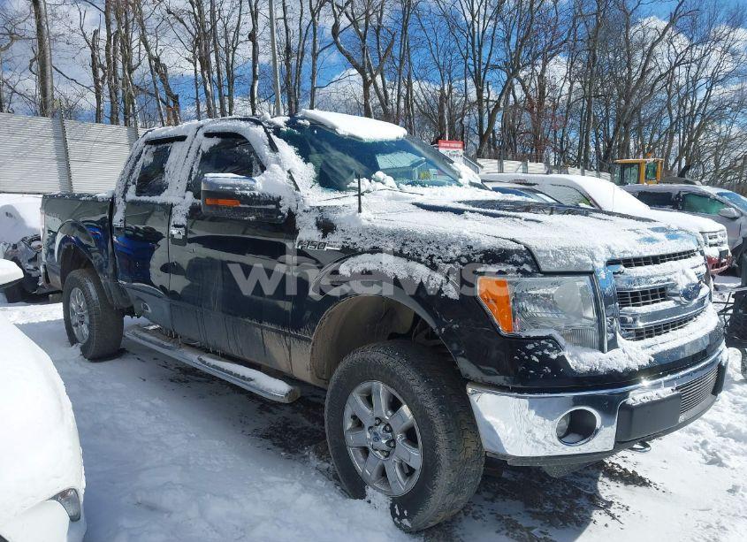 2013 Ford F-150 XLT (VIN 1FTFW1EF8DKE91407) main photo