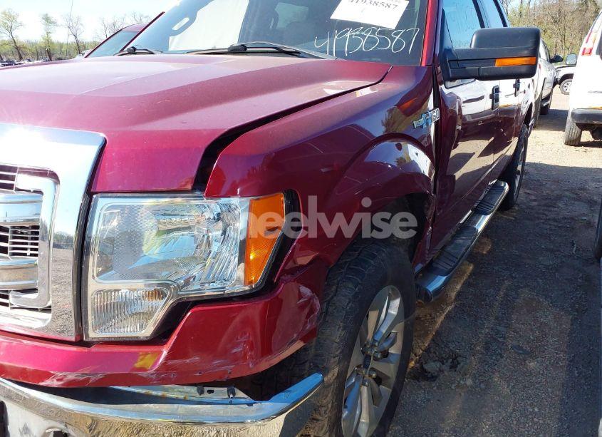 Photo 18 of 2014 Ford F-150 XLT (VIN 1FTFW1EF8EFB27918)