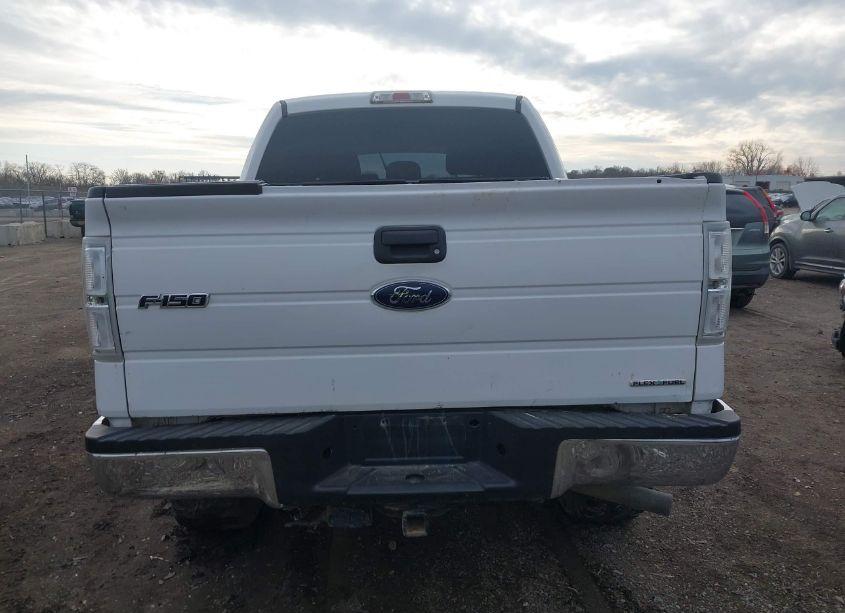 Photo 16 of 2014 Ford F-150 XL (VIN 1FTFW1EF8EKD01378)