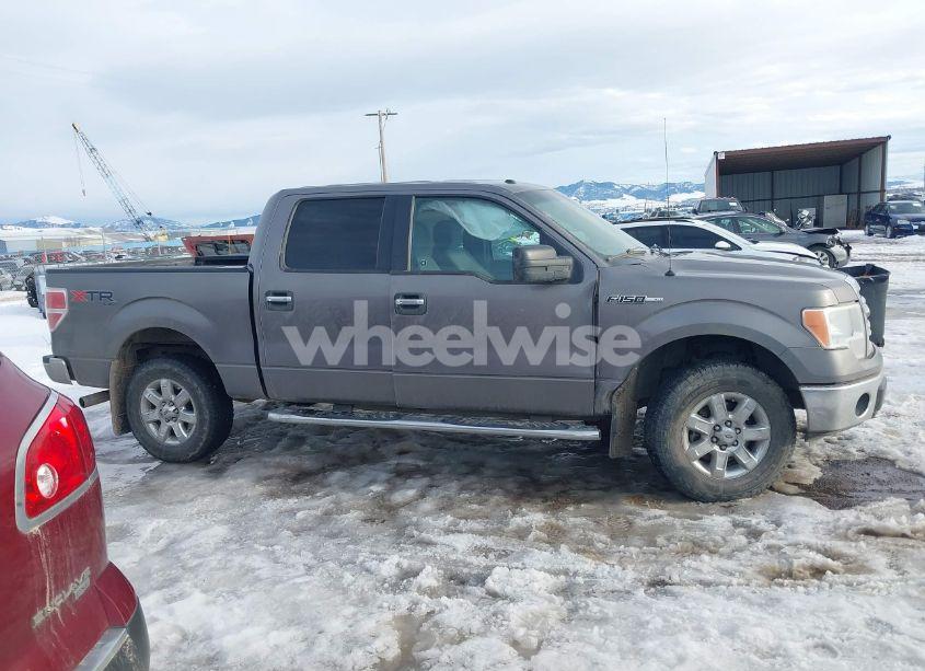 Photo 14 of 2014 Ford F-150 XLT (VIN 1FTFW1EF8EKF96899)