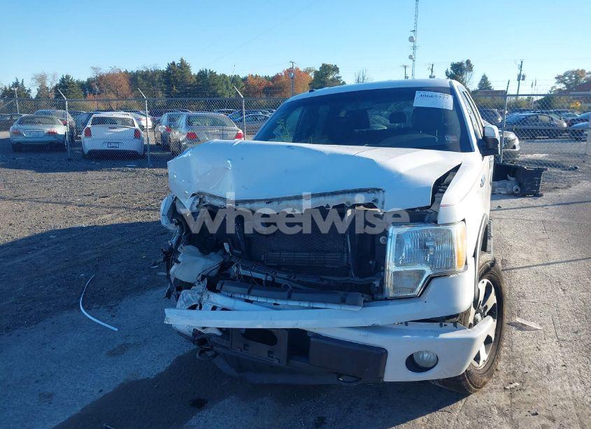 Photo 13 of 2014 Ford F-150 FX4 (VIN 1FTFW1EF8EKG43302)