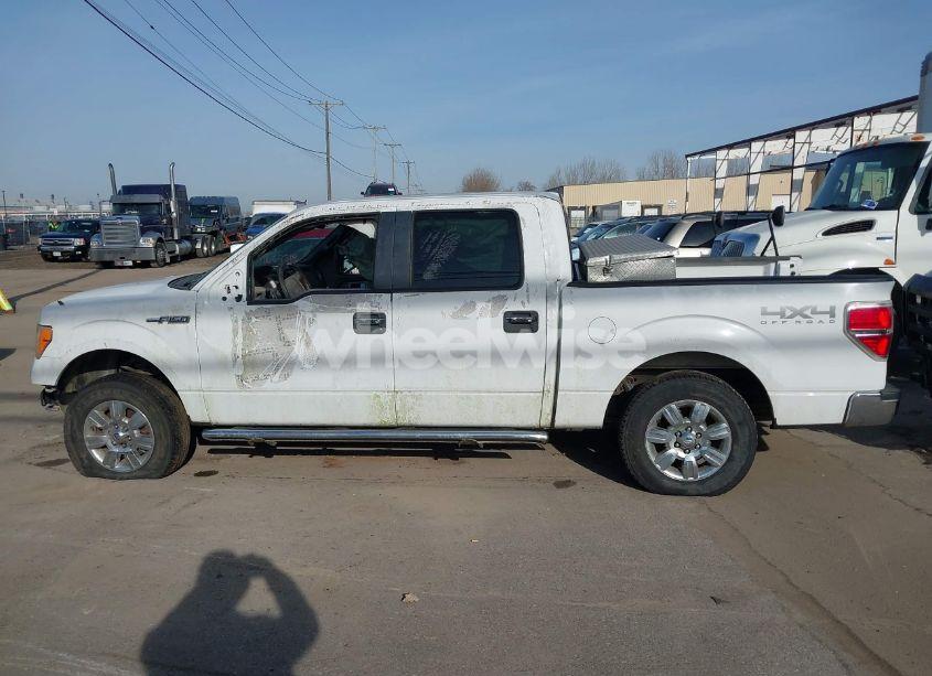 Photo 14 of 2011 Ford F-150 XLT (VIN 1FTFW1EF9BFB08290)