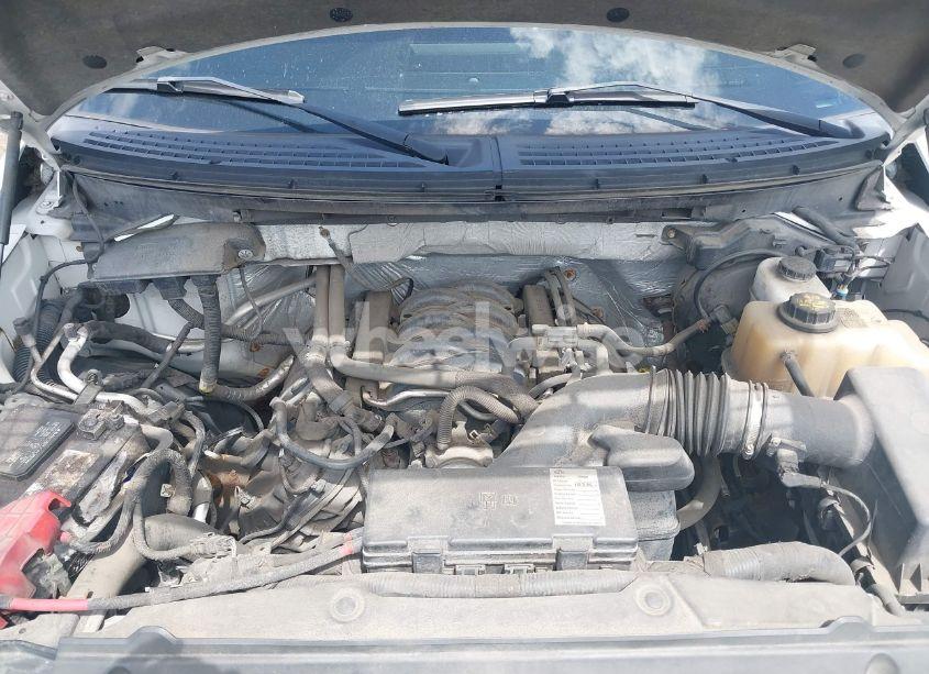 Photo 10 of 2011 Ford F-150 FX4 (VIN 1FTFW1EF9BFC82506)