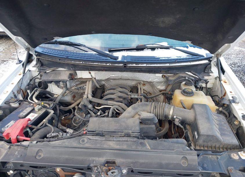 Photo 10 of 2012 Ford F-150 XLT (VIN 1FTFW1EF9CFA90102)