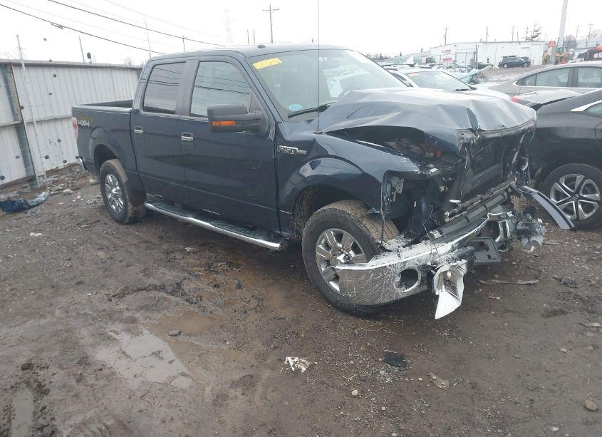 2013 Ford F-150 XLT (VIN 1FTFW1EF9DFC48746) main photo