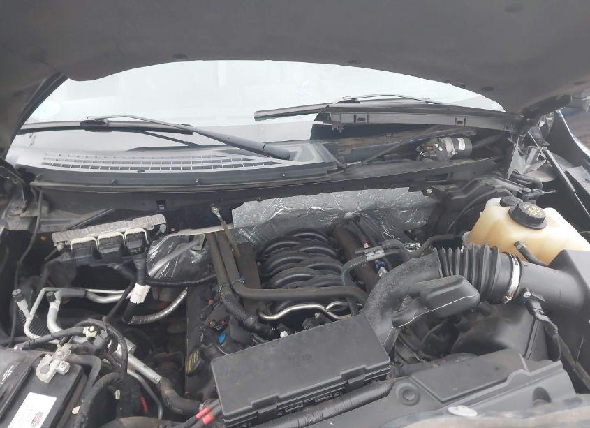 Photo 10 of 2013 Ford F-150 XLT (VIN 1FTFW1EF9DFC48746)