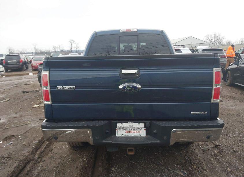 Photo 16 of 2013 Ford F-150 XLT (VIN 1FTFW1EF9DFC48746)
