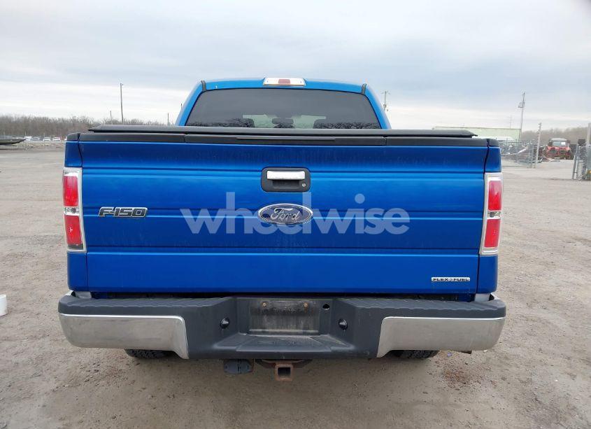 Photo 16 of 2013 Ford F-150 XLT (VIN 1FTFW1EF9DKD40351)