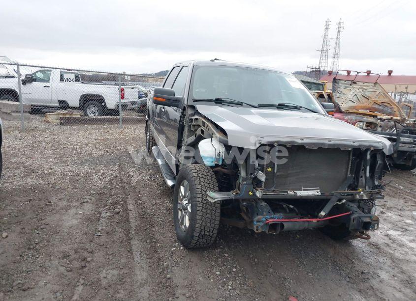 2014 Ford F-150 XLT (VIN 1FTFW1EF9EFA42599) main photo