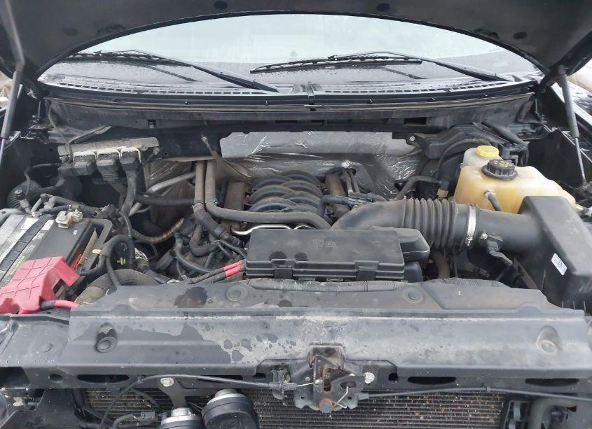Photo 10 of 2014 Ford F-150 XLT (VIN 1FTFW1EF9EFB75265)