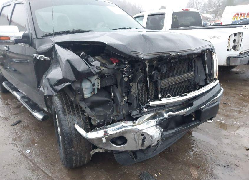 Photo 6 of 2014 Ford F-150 XLT (VIN 1FTFW1EF9EFB75265)