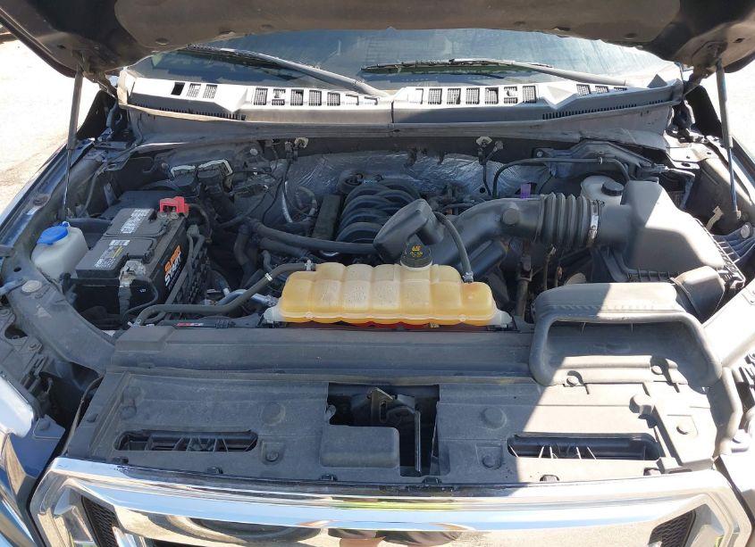 Photo 10 of 2016 Ford F-150 XLT (VIN 1FTFW1EF9GFC41994)