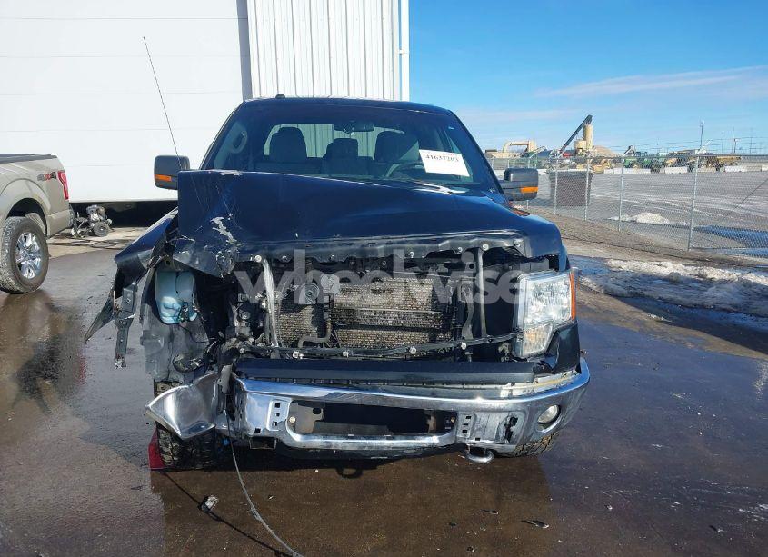 Photo 13 of 2011 Ford F-150 XLT (VIN 1FTFW1EFXBFA20333)