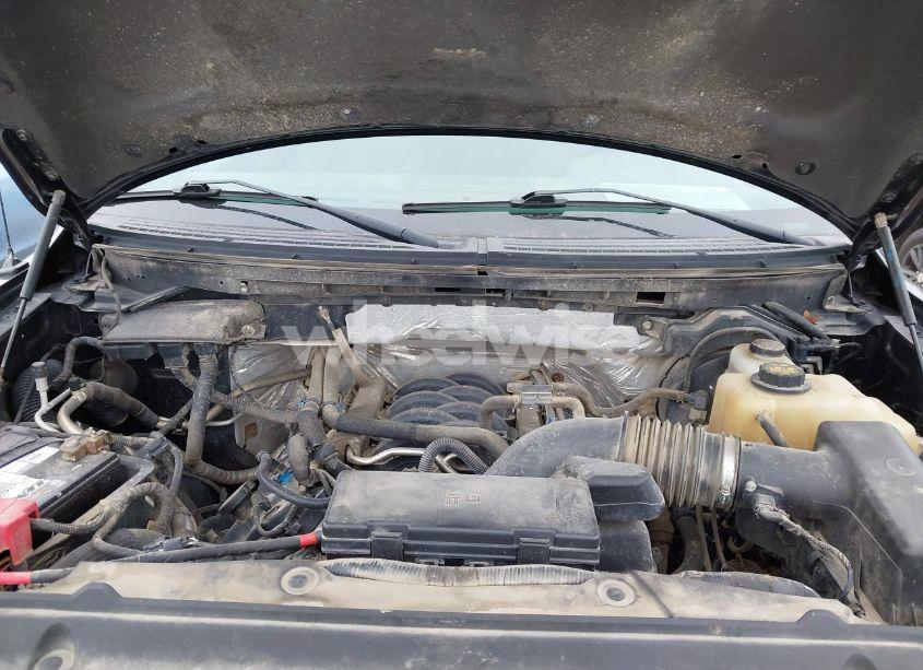 Photo 10 of 2011 Ford F-150 XLT (VIN 1FTFW1EFXBFD13438)