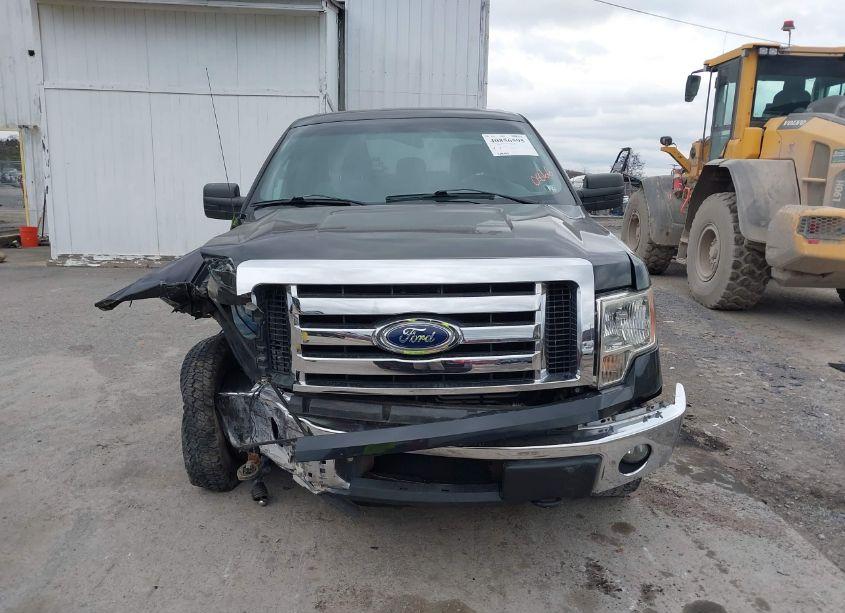 Photo 12 of 2012 Ford F-150 XLT (VIN 1FTFW1EFXCFA20866)