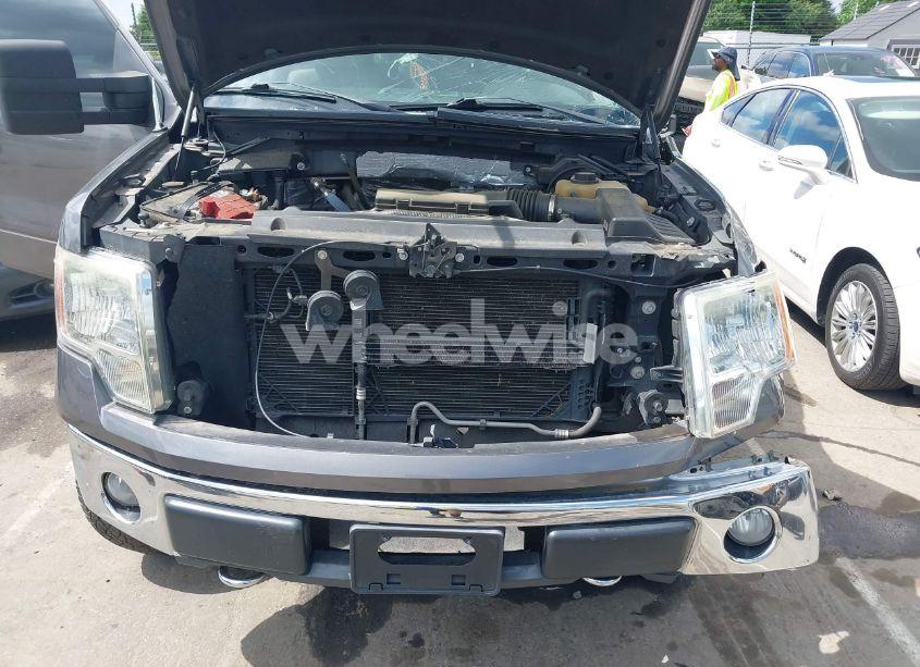 Photo 10 of 2012 Ford F-150 XLT (VIN 1FTFW1EFXCFB50498)