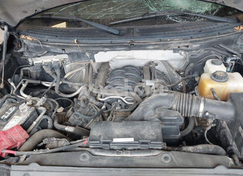 Photo 10 of 2013 Ford F-150 XLT (VIN 1FTFW1EFXDFC91007)