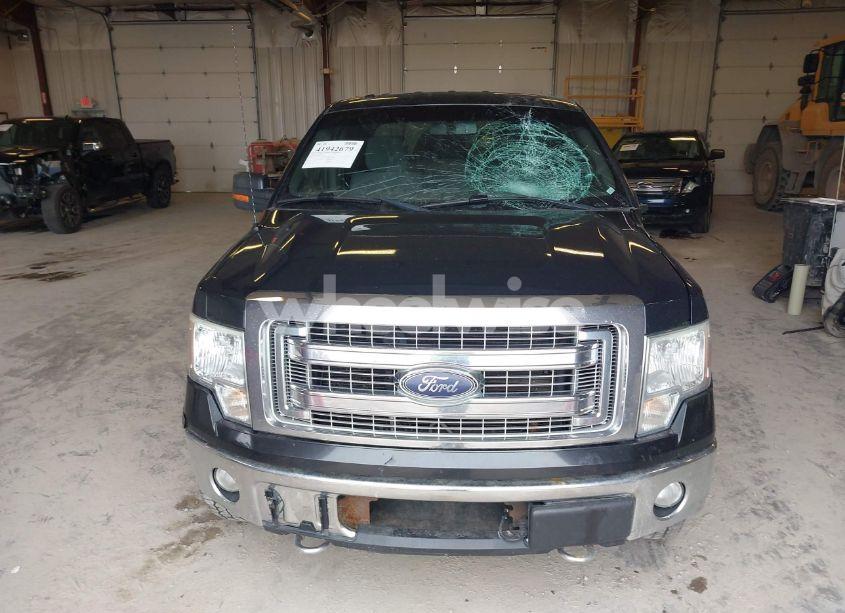 Photo 12 of 2013 Ford F-150 XLT (VIN 1FTFW1EFXDFC91007)