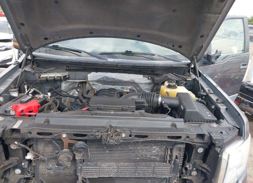 Photo 10 of 2013 Ford F-150 XLT (VIN 1FTFW1EFXDKF25220)