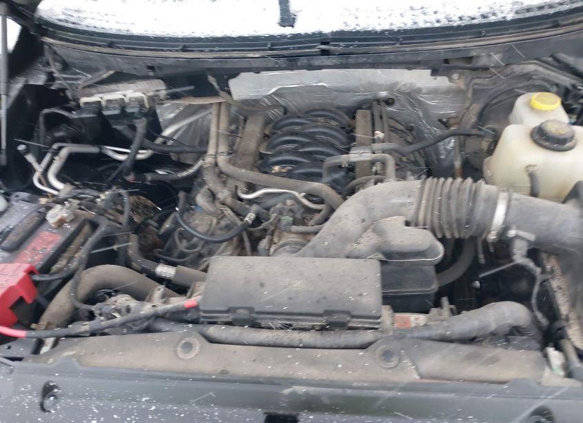 Photo 10 of 2014 Ford F-150 XLT (VIN 1FTFW1EFXEFB00624)