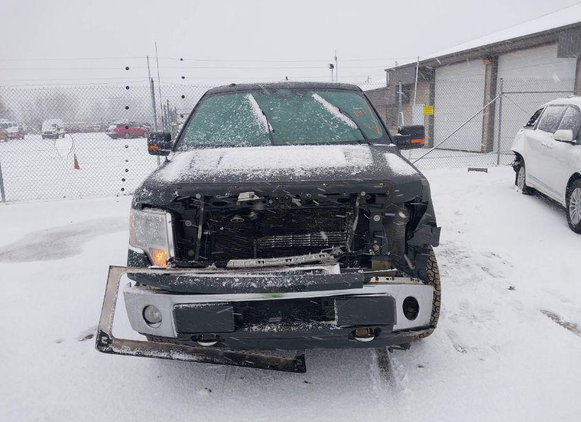 Photo 12 of 2014 Ford F-150 XLT (VIN 1FTFW1EFXEFB00624)