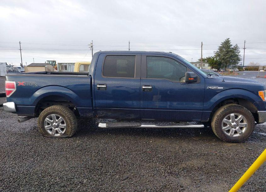 Photo 14 of 2014 Ford F-150 XLT (VIN 1FTFW1EFXEFB21943)