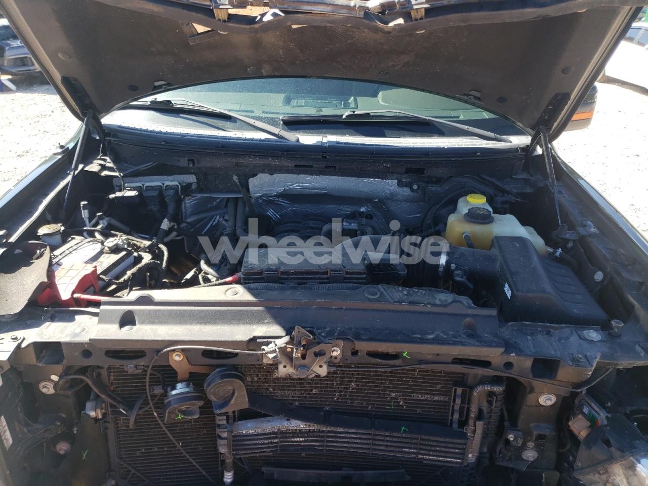 Photo 11 of 2014 FORD F150 SUPERCREW (VIN 1FTFW1EFXEFB57390)