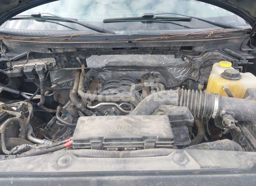 Photo 10 of 2014 Ford F-150 XLT (VIN 1FTFW1EFXEFC89999)