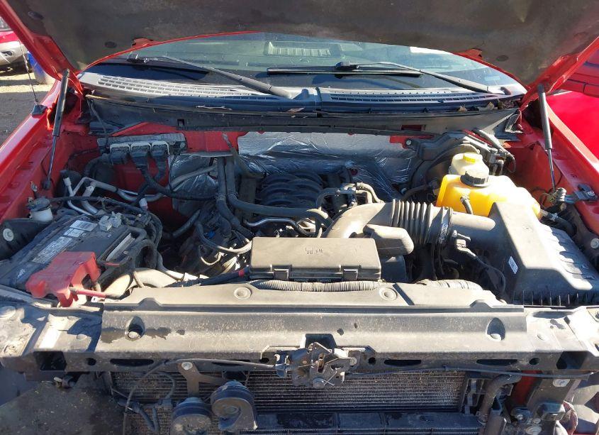 Photo 10 of 2014 Ford F-150 XLT (VIN 1FTFW1EFXEKE71936)