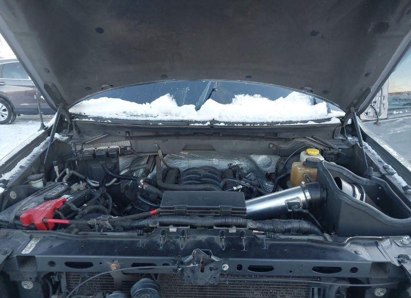 Photo 10 of 2014 Ford F-150 XLT (VIN 1FTFW1EFXEKF13974)