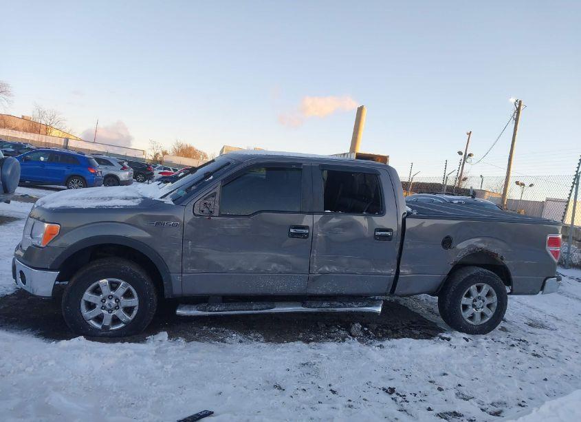 Photo 15 of 2014 Ford F-150 XLT (VIN 1FTFW1EFXEKF13974)