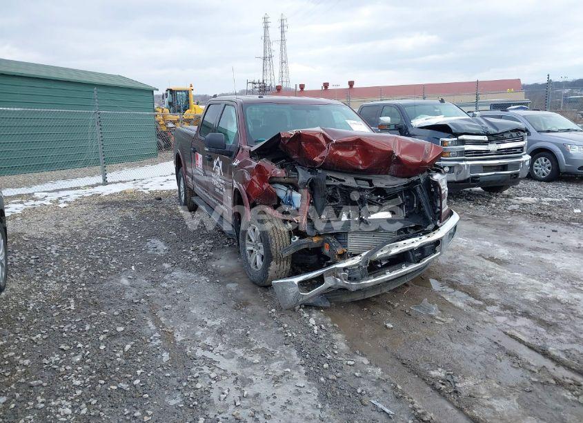 2015 Ford F-150 XLT (VIN 1FTFW1EG1FFC49773) main photo