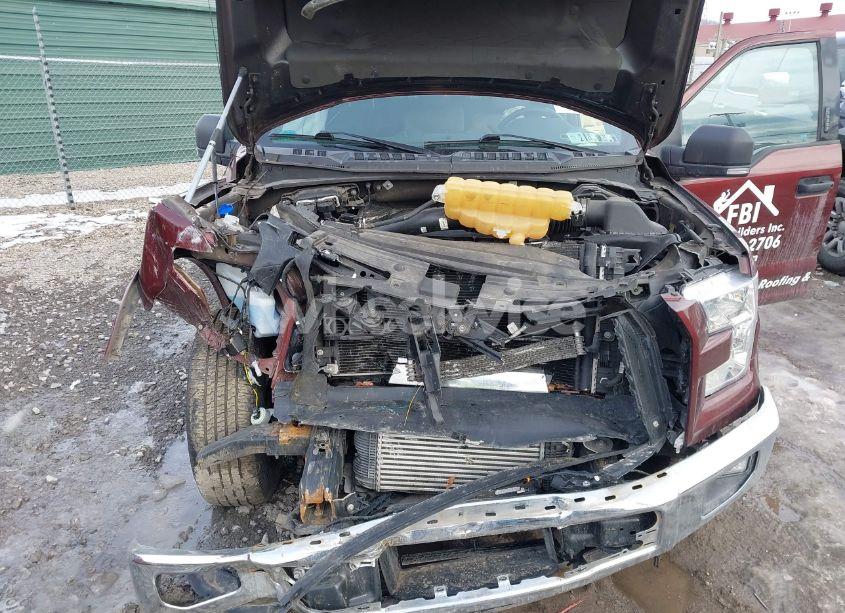 Photo 10 of 2015 Ford F-150 XLT (VIN 1FTFW1EG1FFC49773)