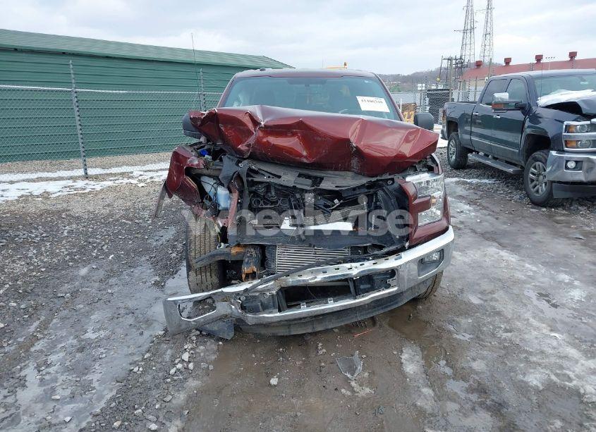 Photo 13 of 2015 Ford F-150 XLT (VIN 1FTFW1EG1FFC49773)