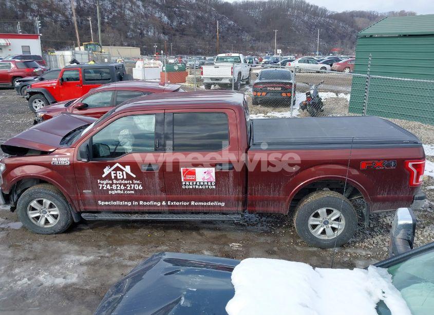 Photo 15 of 2015 Ford F-150 XLT (VIN 1FTFW1EG1FFC49773)