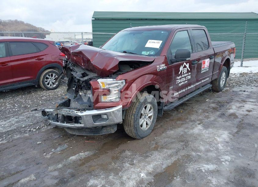 Photo 2 of 2015 Ford F-150 XLT (VIN 1FTFW1EG1FFC49773)