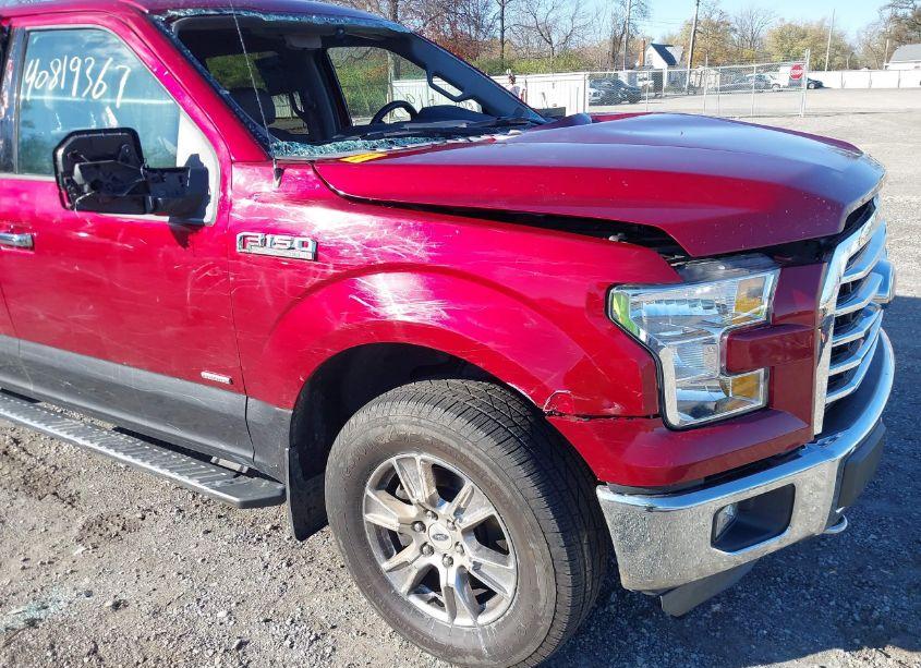 Photo 19 of 2015 Ford F-150 XLT (VIN 1FTFW1EG2FFA19577)