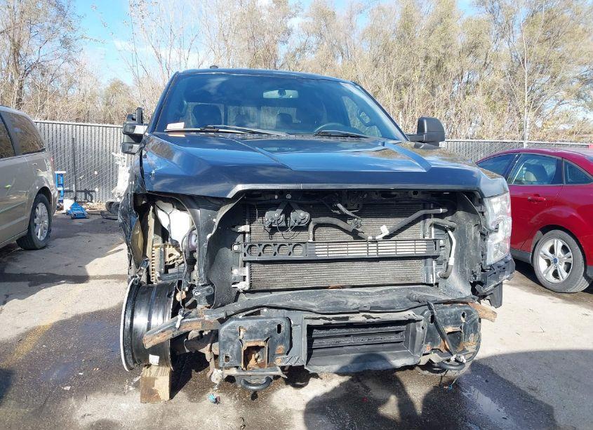 Photo 13 of 2016 Ford F-150 XLT (VIN 1FTFW1EG2GFC92813)