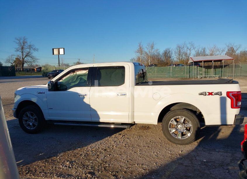 Photo 14 of 2015 Ford F-150 XLT (VIN 1FTFW1EG4FFA52211)
