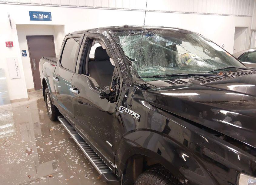 Photo 15 of 2017 Ford F-150 XLT (VIN 1FTFW1EG5HFC39735)