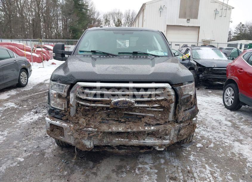 Photo 11 of 2016 Ford F-150 XLT (VIN 1FTFW1EG9GFB17474)