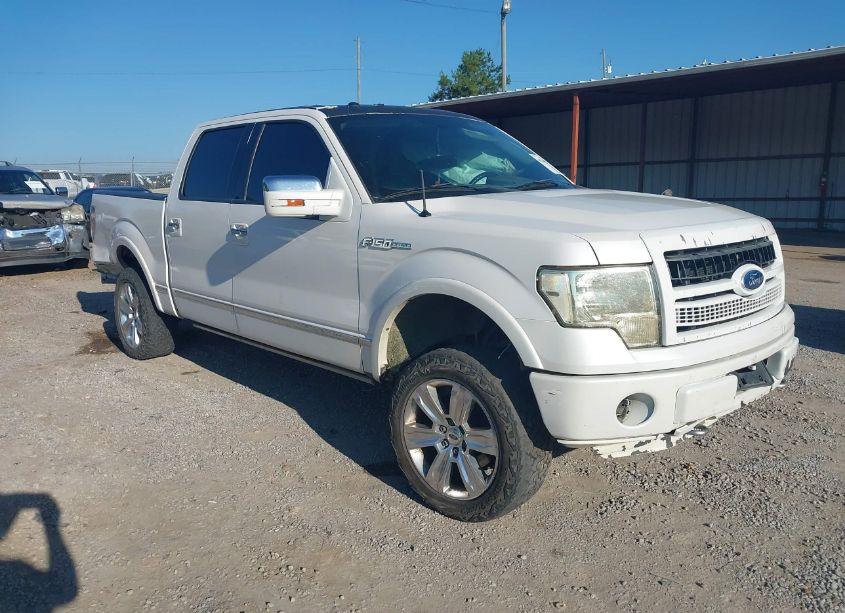 2011 Ford F-150 PLATINUM (VIN 1FTFW1ET0BFA59146) main photo