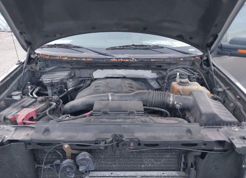 Photo 10 of 2011 Ford F-150 XLT (VIN 1FTFW1ET0BFA66839)