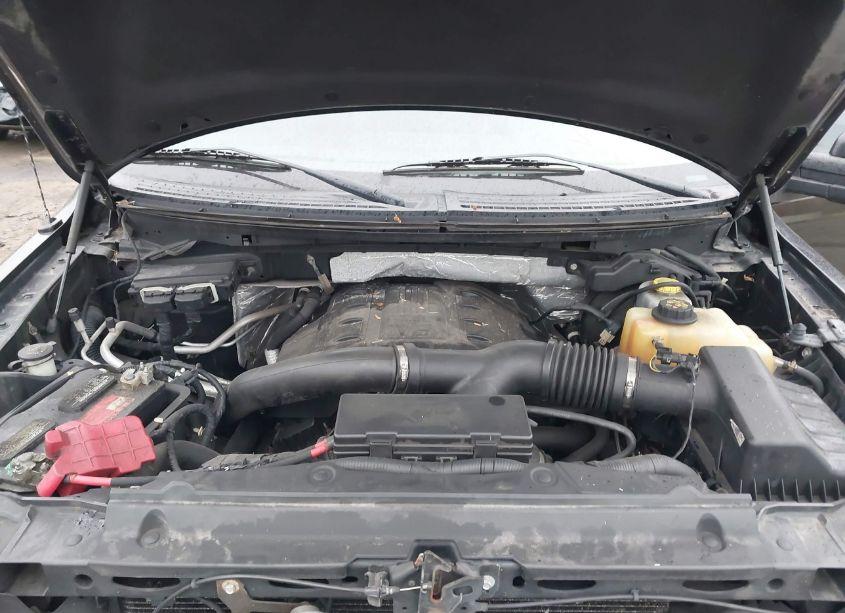 Photo 10 of 2013 Ford F-150 LIMITED (VIN 1FTFW1ET0DFD20942)