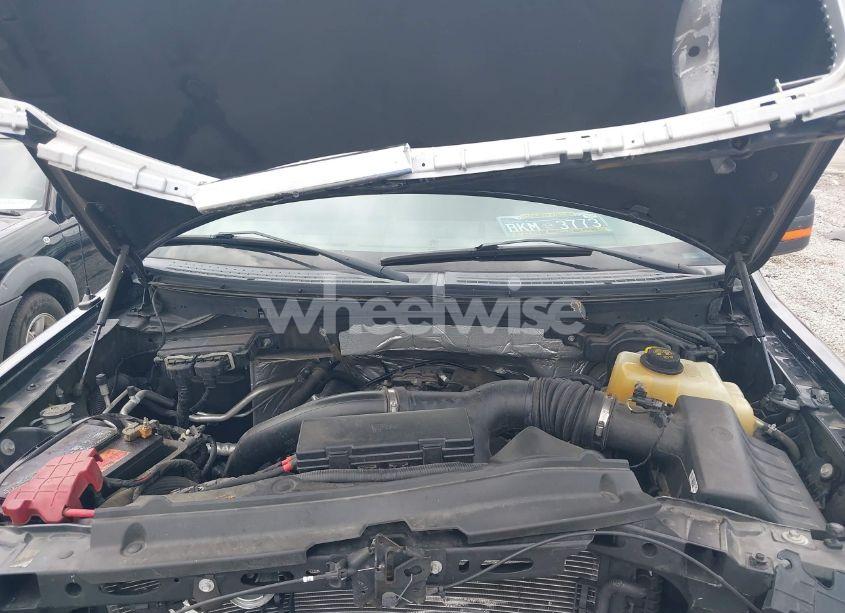 Photo 10 of 2013 Ford F-150 XLT (VIN 1FTFW1ET0DKG44903)