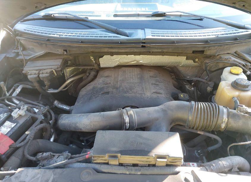 Photo 10 of 2014 Ford F-150 XLT (VIN 1FTFW1ET0EFA08265)