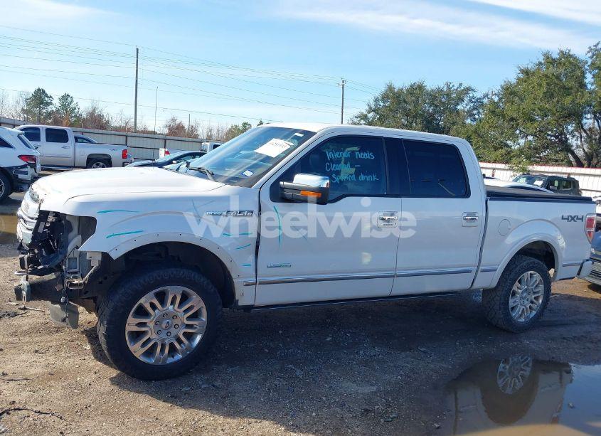 Photo 15 of 2014 Ford F-150 PLATINUM (VIN 1FTFW1ET0EFC50621)