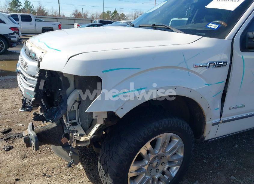 Photo 19 of 2014 Ford F-150 PLATINUM (VIN 1FTFW1ET0EFC50621)